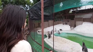 僕のねとられ話しを聞いてほしい 生命保険のスケベな顧客に寝盗られた妻 蓮実クレア