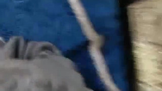 继母在这个铁杆视频中接受了足球和性爱的教训