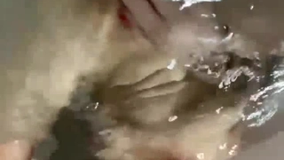 湖南光头哥2800约炮大长腿少妇 近距离M腿开脚仔细研究她的鲍鱼